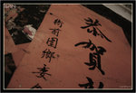 IMG_0245_copy