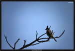 IMG_4315_copy