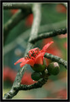 IMG_8909_copy