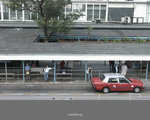 IMG_0341_copy