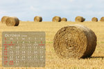 oct_resize