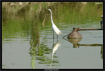 IMG_5146_copy