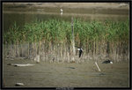 IMG_5231_copy