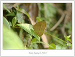 IMG_2622_copy