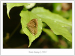 IMG_2623_copy