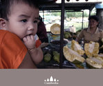IMG_0027_copy