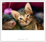 IMG_0427_copy