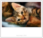 IMG_0429_copy