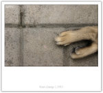 IMG_8586_copy