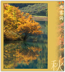 CRW_0009_copy
