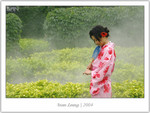 IMG_3912_copy