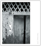 CRW_9190_copy