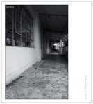 CRW_9233_copy