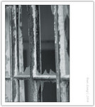 CRW_9237_copy