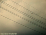 IMG_1408_COPY