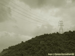 IMG_1411_COPY