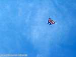 IMG_1462_COPY