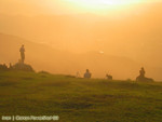 IMG_1647_COPY