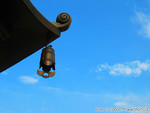 IMG_1993_COPY