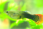 CRW_7086