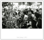 IMG_7565_copy