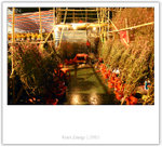 IMG_7614_copy