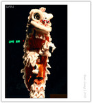IMG_7353_copy