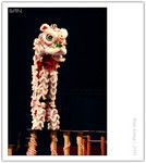 IMG_7357_copy