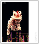 IMG_7410_copy