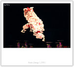 IMG_7411_copy