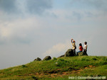 IMG_1470_COPY