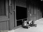IMG_1942_COPY