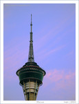 IMG_2876_COPY