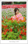 IMG_3929_copy