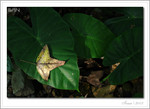 IMG_3584_COPY