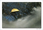 IMG_3292_COPY