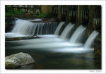 IMG_3308_COPY