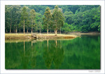 IMG_3321_COPY
