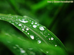 IMG_2169_COPY