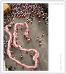 IMG_8719_copy