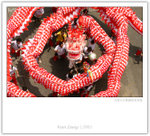 IMG_8822_copy