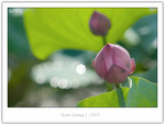 CRW_6245_copy
