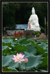 IMG_9818_copy