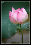IMG_9825_copy