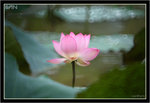 IMG_9827_copy