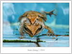 IMG_2615_copy