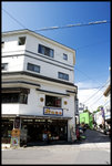 


日光
