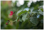 sDSC08033