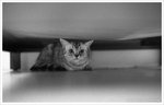 sphoto031