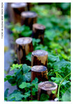 DSCF9301 copy